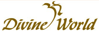 divine world logo